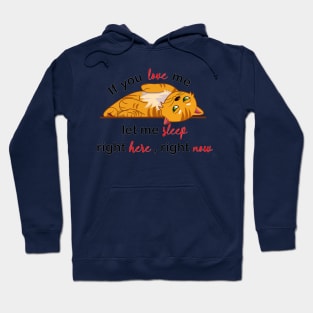 if you love me let me sleep Hoodie